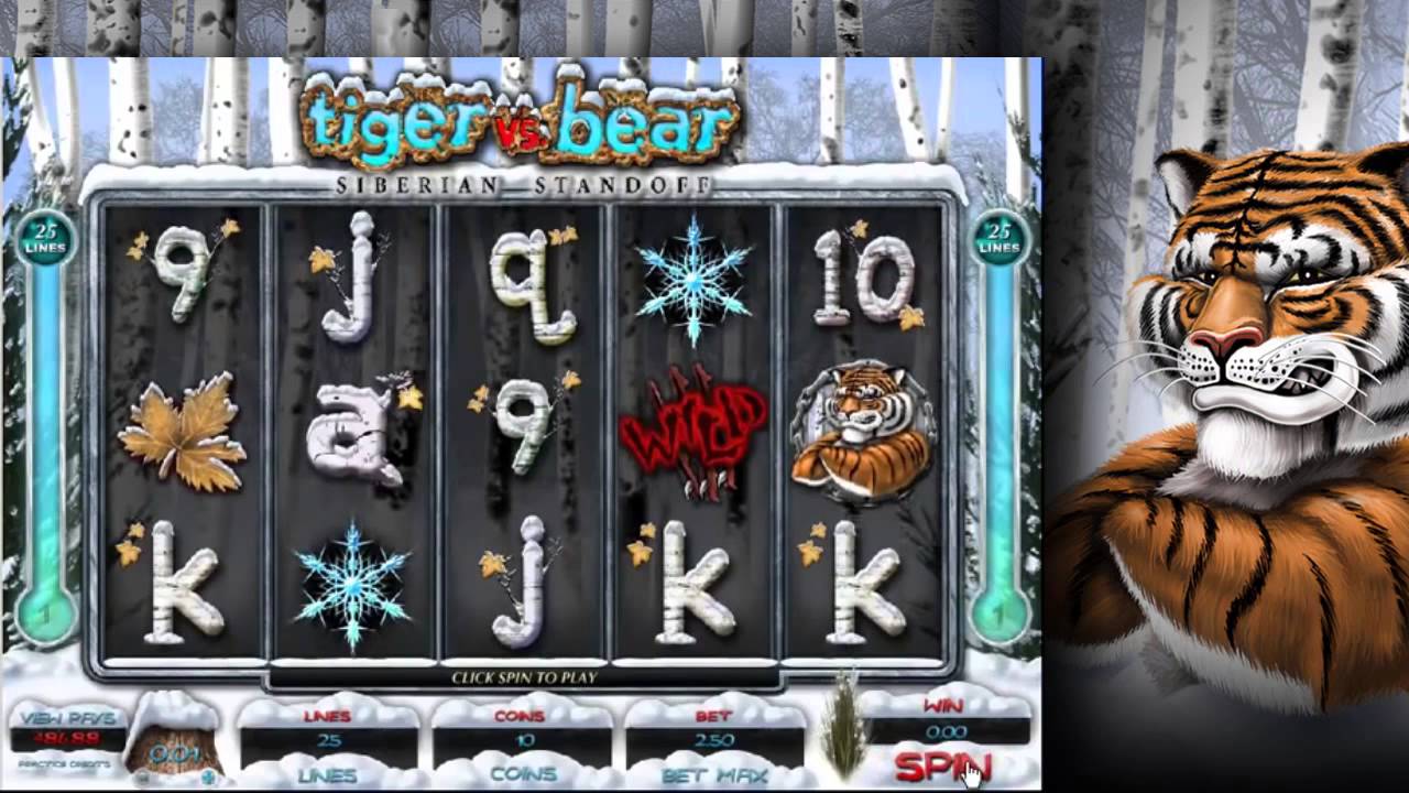 Игровой автомат «Tiger vs Bear» играть бесплатно онлайн и без регистрации